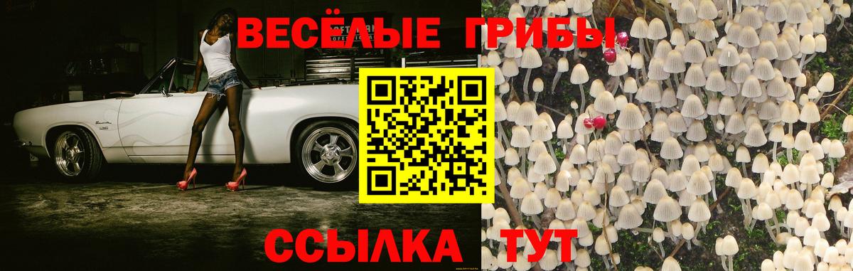 Псилоцибиновые грибы MAGIC MUSHROOMS Коркино
